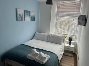 Cosy and Comfortable Flat