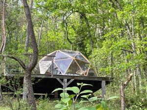 Tentes de luxe Arborea, nuits insolites au coeur de la foret : photos des chambres