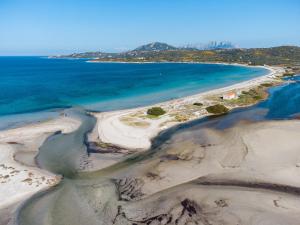 Myrsine 7D - Klodge img4