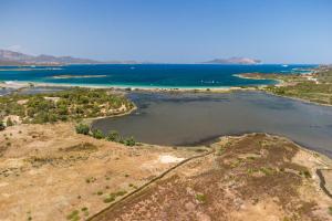 Myrsine 7D - Klodge img28