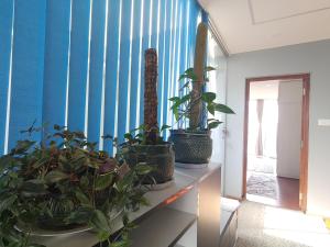 Skyline Haven 2BHK Apartment