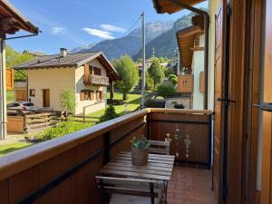 Alloggio Stella Alpina