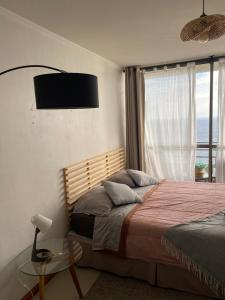 Departamento frente al Mar en sector de Parque Playa Brava