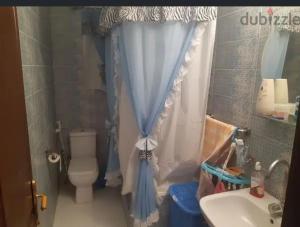 الاسكندريه ش العيسوى حى المنتزه