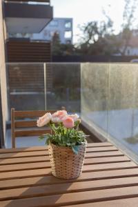 Explore Providencia from Our Sleek 2BR