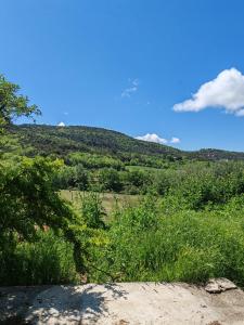 Propriété avec vue