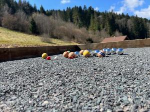 Chalets Chalet le Lynx quiet vacation : photos des chambres