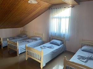 My Hostel - Privates and Dorms