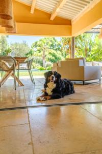 Villas Villa Tiga : photos des chambres