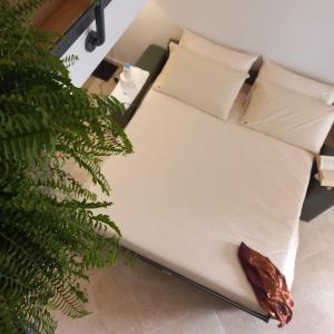 Freshwater Pirates CASA VALENTE