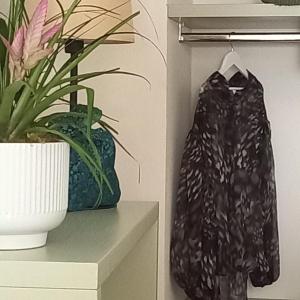 Freshwater Pirates CASA VALENTE