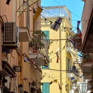 Freshwater Pirates CASA VALENTE