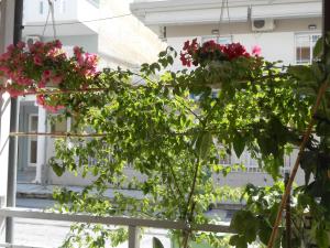 Hotel Germany Olympos Greece