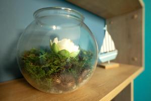 Dyrrachium City Center By Tok