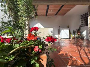 Omar House alojamiento en Paipa, Boyacá