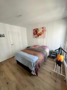 Appartements Nid douillet equipe a Saint-Ouen : photos des chambres