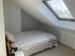 Messe- & Ferienwohnung mit Balkon nähe Uniklinik