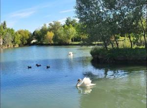 Maisons de vacances Chez francoise : photos des chambres