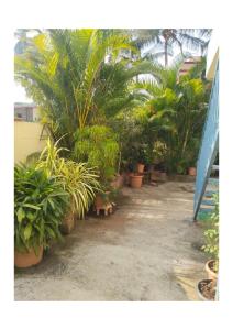 YONA HomeStay