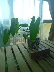 Bajet Homestay - Teratak Singgah