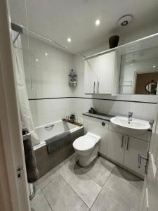 Luxury contemporary Apartment