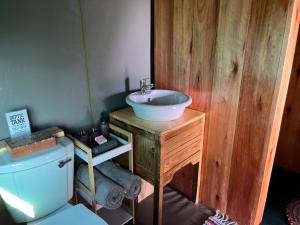 The Termite Mound - Termite Tented