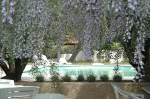 Hotels Olivier Hotel : photos des chambres