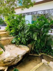 Ipana Playa Carmen 4 pools and gym