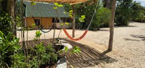 Casa Jabalí Ecocchic