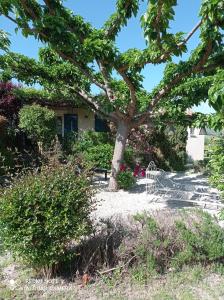 Le Cabanon dAmandine et Gabriel