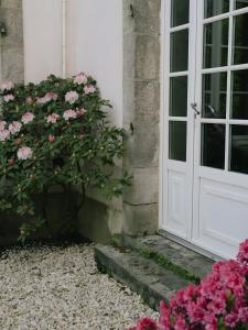 Villas Domaine de Kermadio : photos des chambres