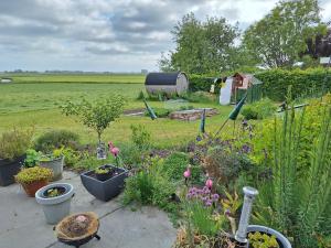 Kamer op de wierde Rottum