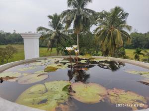 Blue Lotus Villa & Spice Garden