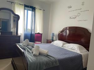 Apartamento Sandra - Ubytování bez kategorie ve městě Ponta Delgada