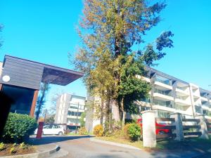 Entorno Natural, cerca del centro de Pucón Parking Privado