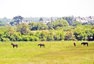 Minquiers - Chambre dans Embruns