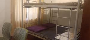 Whispering Pinewoods