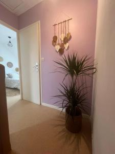 Maisons de vacances Le petit prince : photos des chambres
