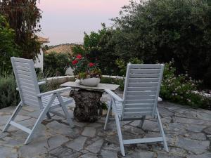 The Iconpainter Peroulia Villa