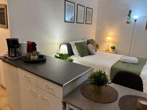 Studio garden and serenity, near Eurexpo and GroupamaStadium
