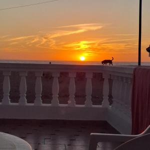 Maison de plage pied dans leau pour familles