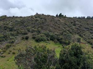 Glampin la esperanza