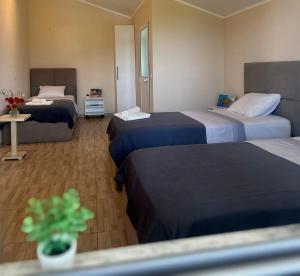 Hotel Villa Ballkan