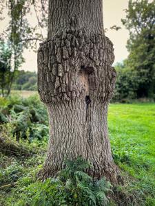 Escapade rurale dans ancien bar