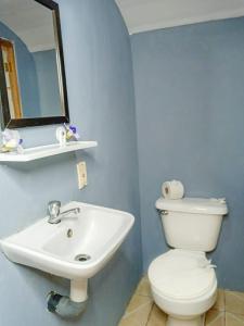 Hospedaje Combi dream bird