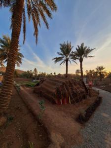 Riad IZRAREN - FIGUIG