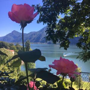 Casa de 2 dormitorios