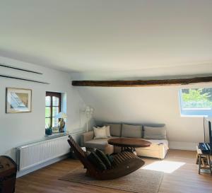 Außergewöhnliche Katstelle Rheindamm an der Xantener Nordsee