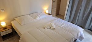 Appartements SUPERBE APPARTEMENT porte de la Cite Medievale entierement renove tres bien equipe 6 pers balcon clim parking prive devant : photos des chambres