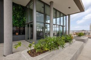 ON Domingos de Morais